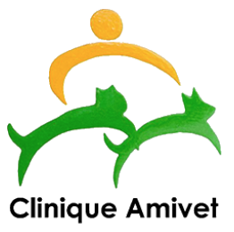 CLINIQUE VETERINAIRE AMIVET, établissement vétérinaire à Paris 16ème