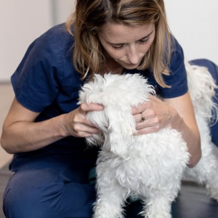 Vetosteo, établissement vétérinaire à Chambéry