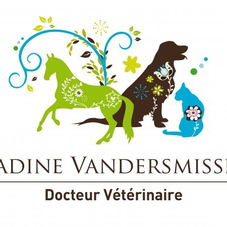 Cabinet vétérinaire Dr VANDERSMISSEN, établissement vétérinaire à Villeneuve-les-Avignon