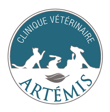 CLINIQUE VETERINAIRE ARTEMIS - VAUCRESSON, établissement vétérinaire à Vaucresson