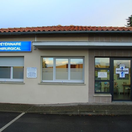 Cabinet Vétérinaire Médico Chirurgical de la Croisette, établissement vétérinaire à Pins-Justaret