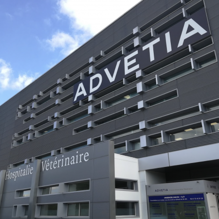 ADVETIA - Service reproduction, établissement vétérinaire à Vélizy-Villacoublay