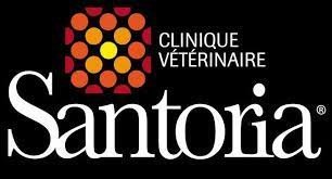 CLINIQUE VÉTÉRINAIRE DE LA LÉZARDE SANTORIA, établissement vétérinaire à Montivilliers