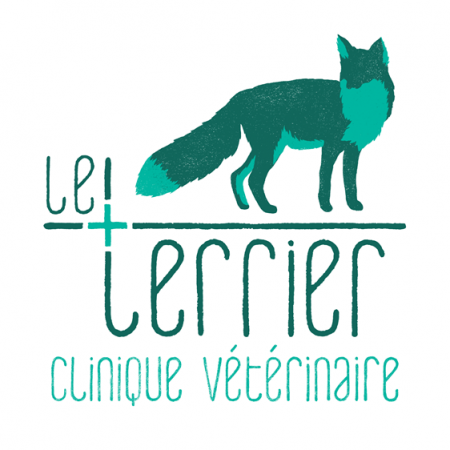 LE TERRIER - CLINIQUE VETERINAIRE, établissement vétérinaire à Saint-Félicien