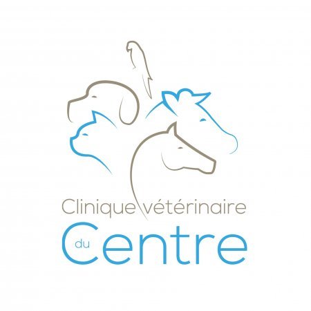 CLINIQUE VETERINAIRE DU CENTRE - QUESTEMBERT, établissement vétérinaire à Questembert