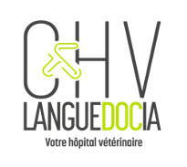 CHV LANGUEDOCIA - Service dermatologie, établissement vétérinaire à Montpellier 34000