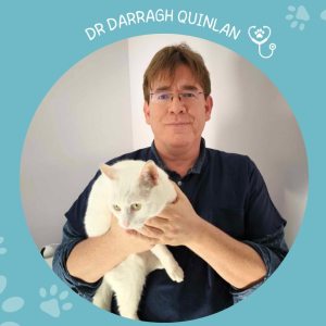 Darragh QUINLAN