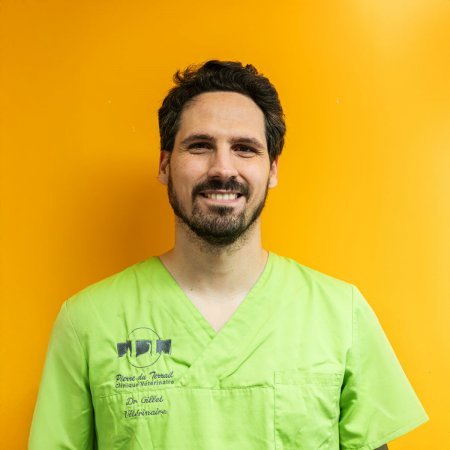 Dr Romain Gillet